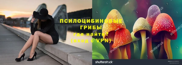 PSILOCYBIN Балахна