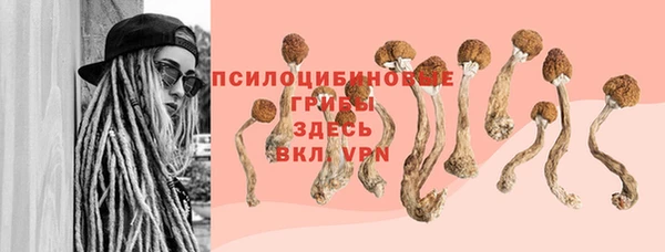 тгк Баксан