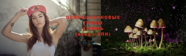 PSILOCYBIN Балахна