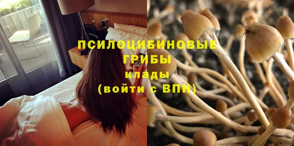 PSILOCYBIN Балахна