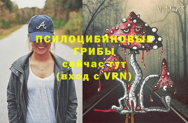 Альфа ПВП Балабаново