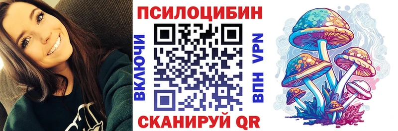 закладки  Гаврилов Посад  Галлюциногенные грибы Psilocybine cubensis 