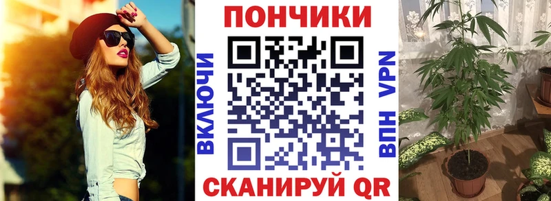 Канабис планчик  нарко площадка формула  Гаврилов Посад  гидра как зайти 